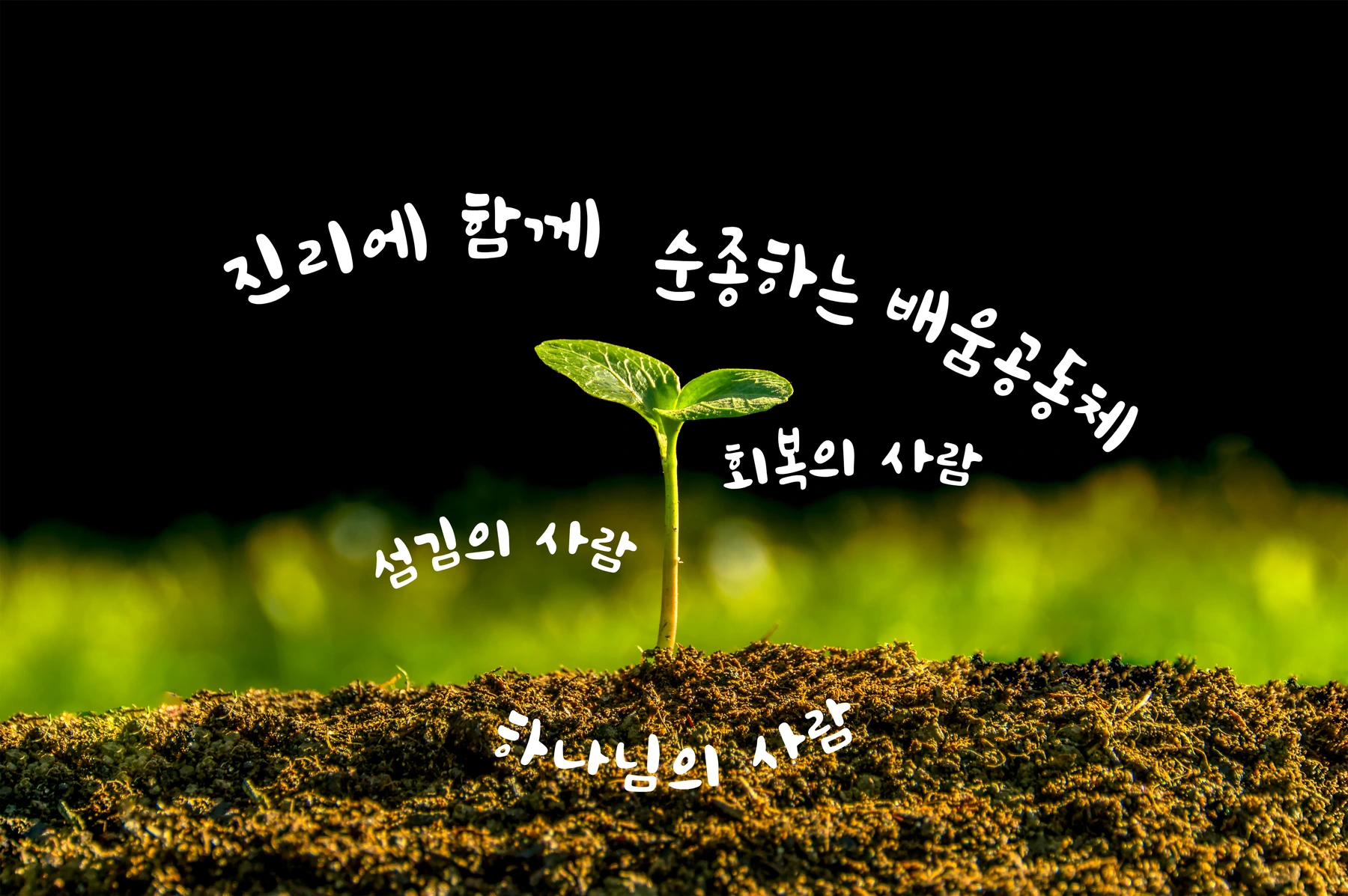 진리에 함께 순종하는 배움공동체. 하나님의 사람, 섬김의 사람, 회복의 사람.