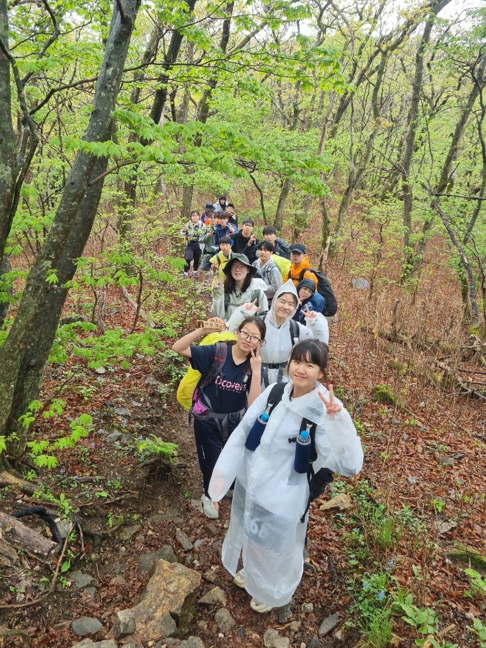 사용자가 올린 이미지