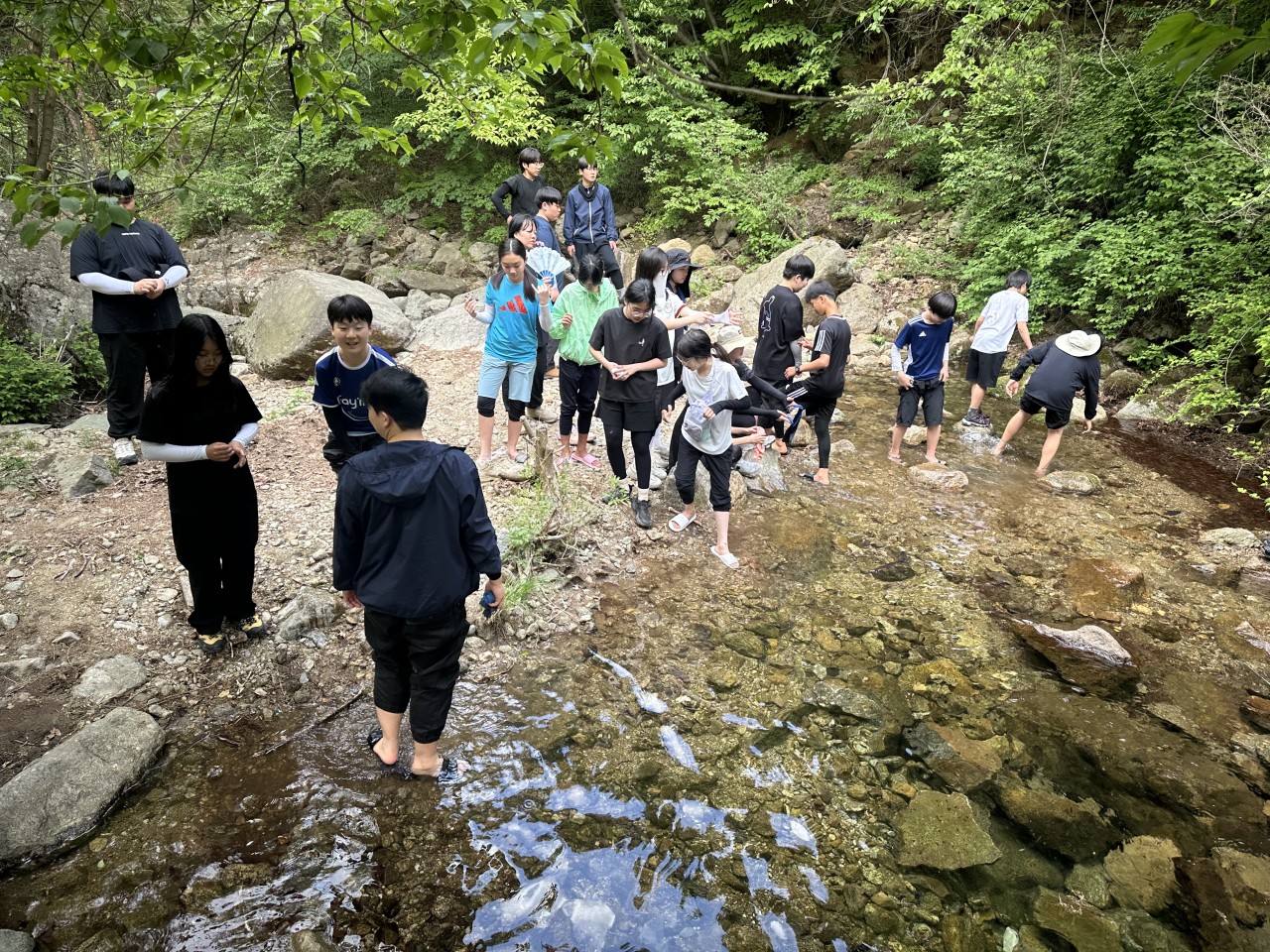 사용자가 올린 이미지