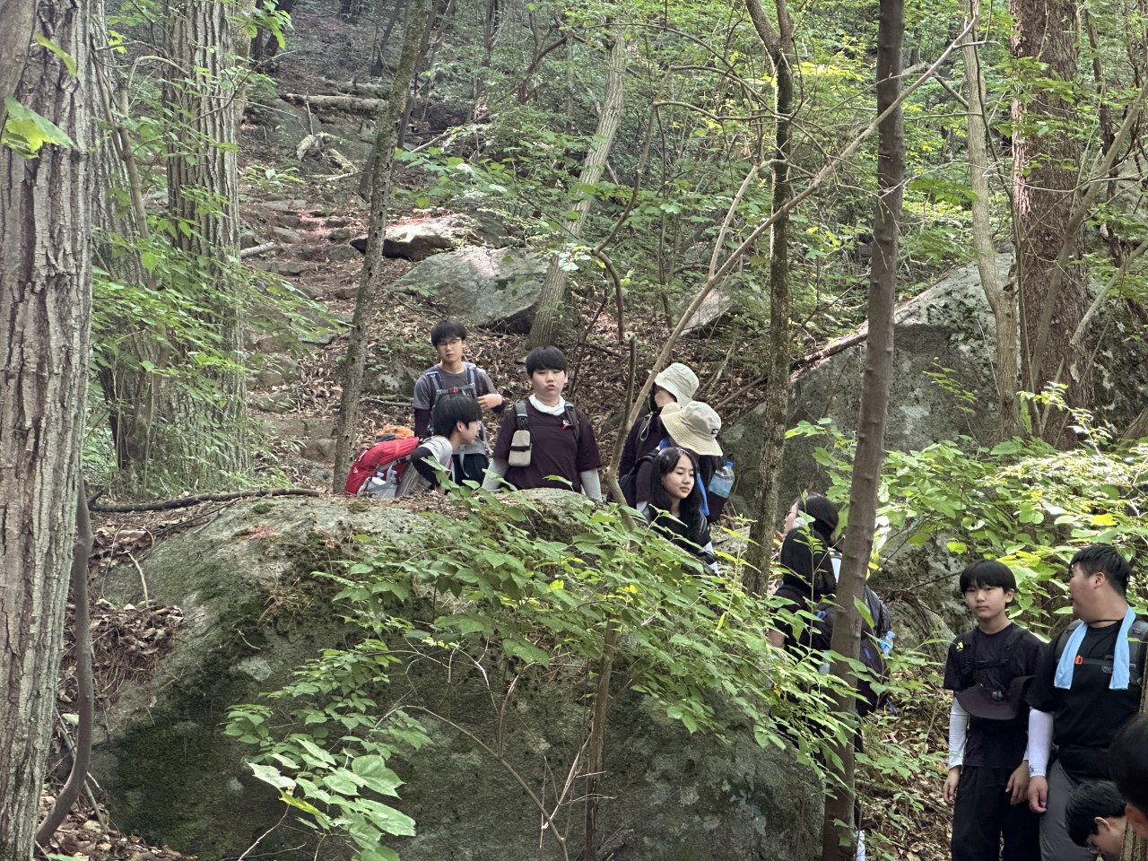 사용자가 올린 이미지