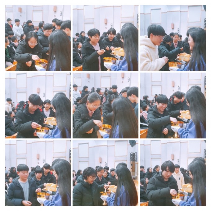 0AE5FF6E-30E2-47D1-BF95-6F6D4205E4EE-COLLAGE.JPG