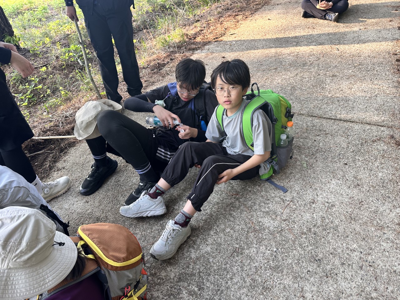 사용자가 올린 이미지