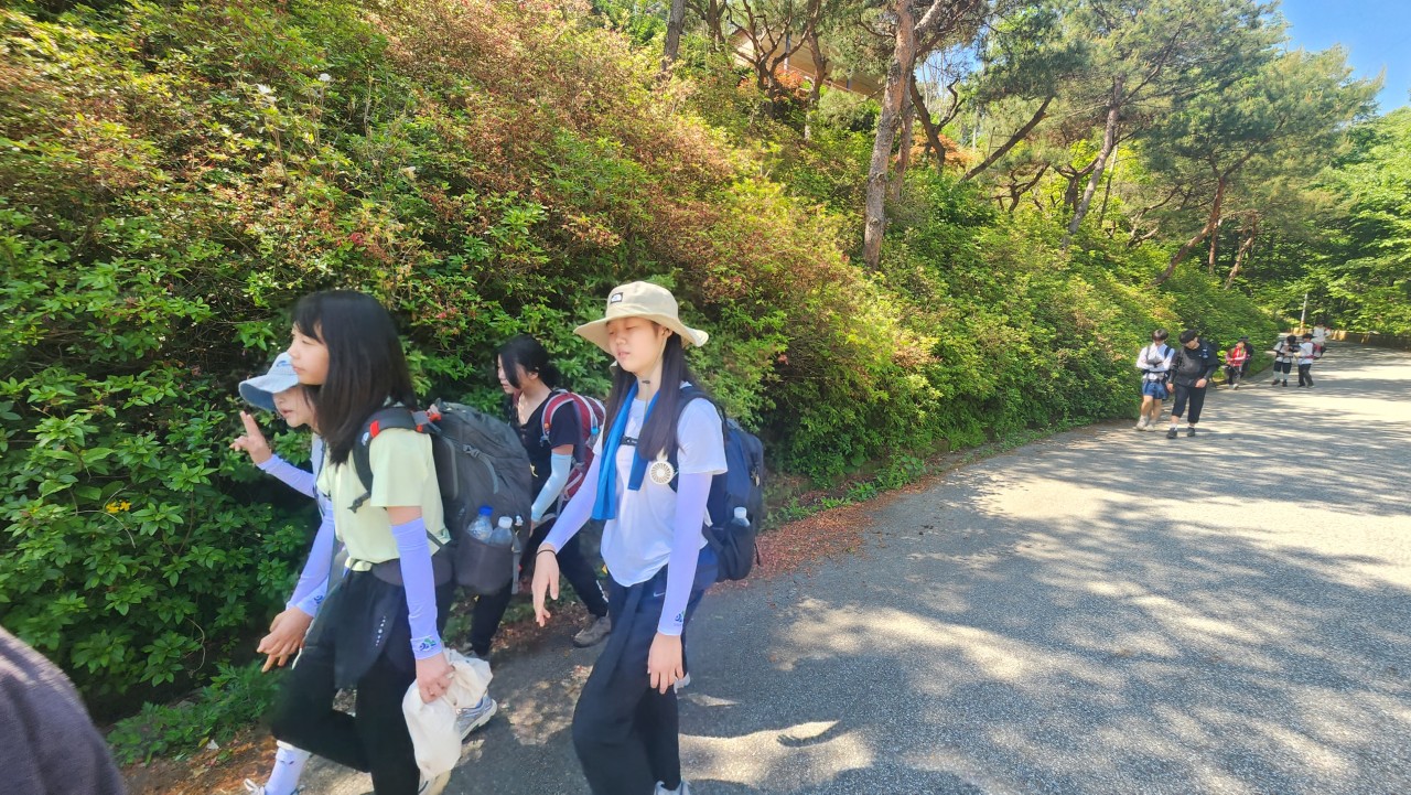 사용자가 올린 이미지