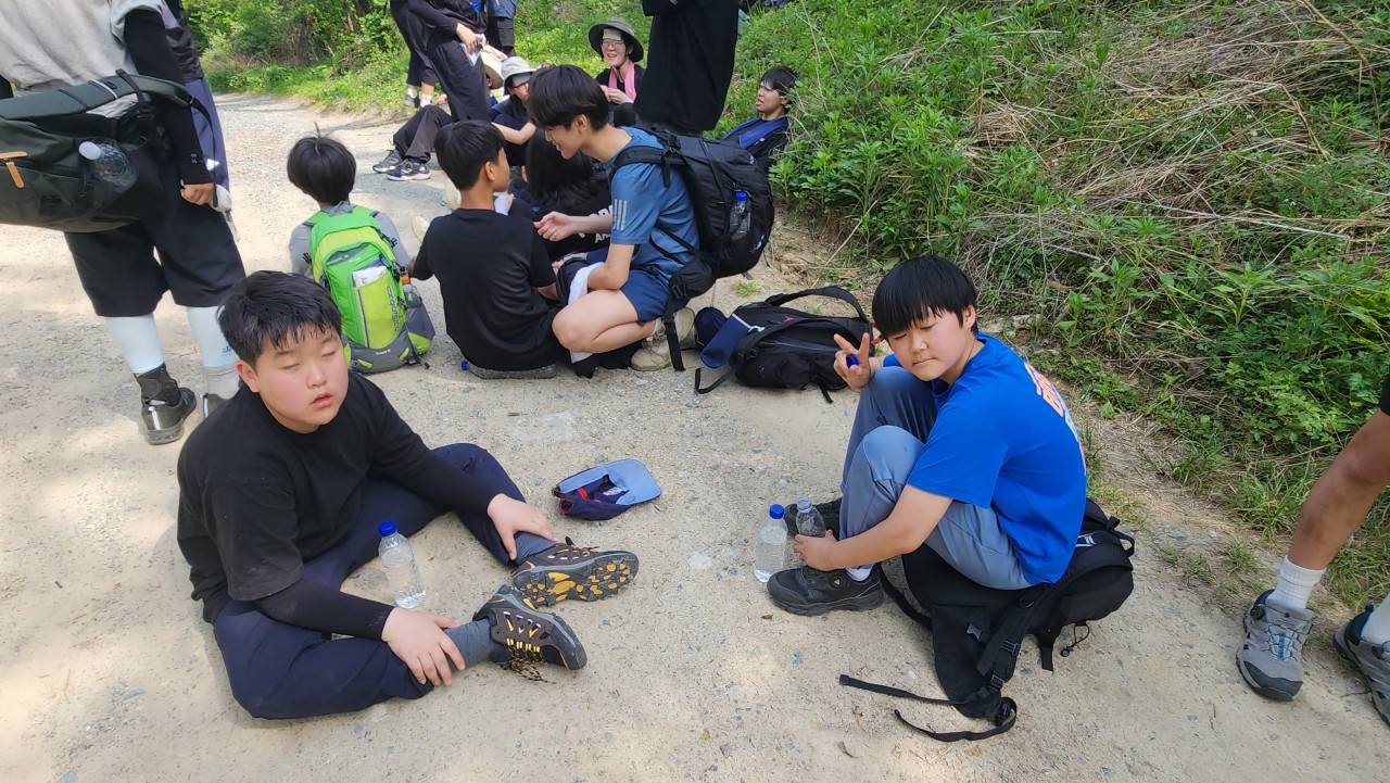 사용자가 올린 이미지