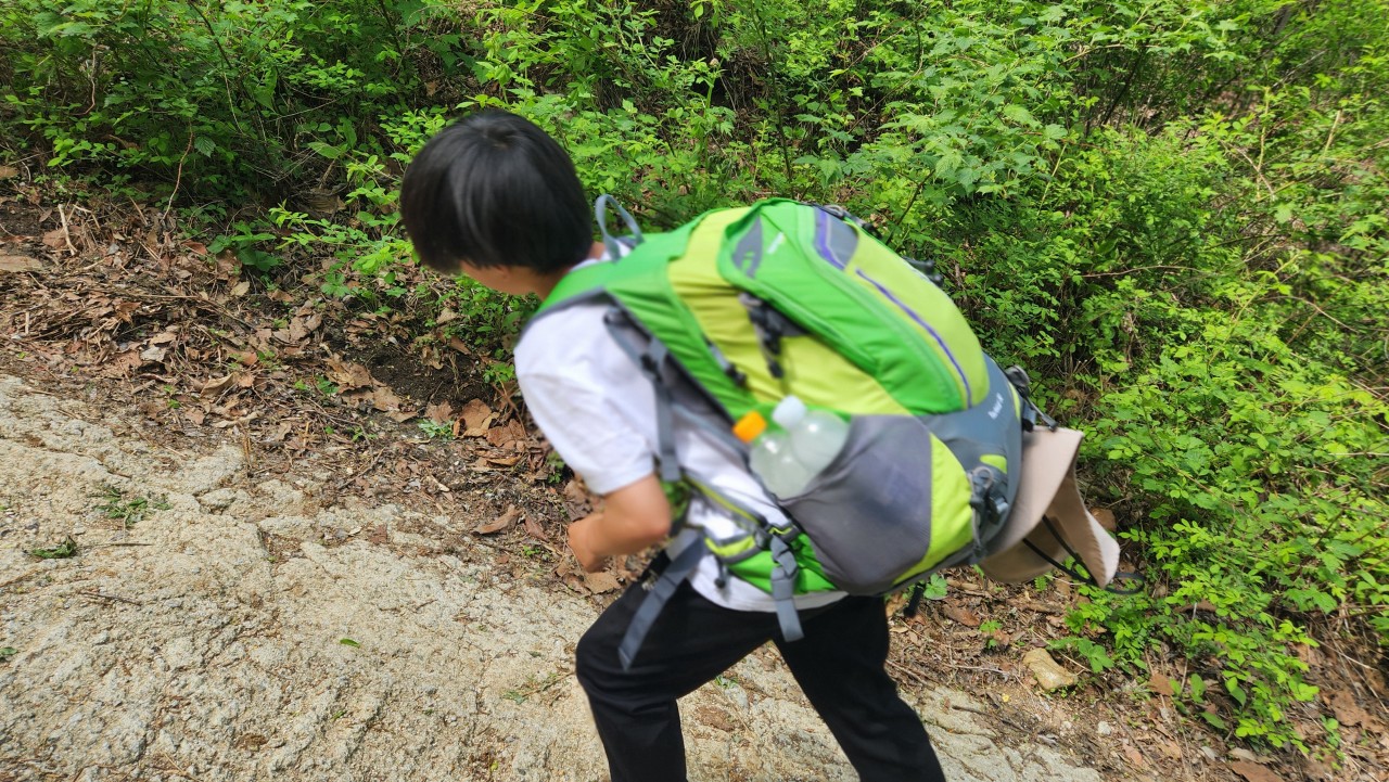 사용자가 올린 이미지