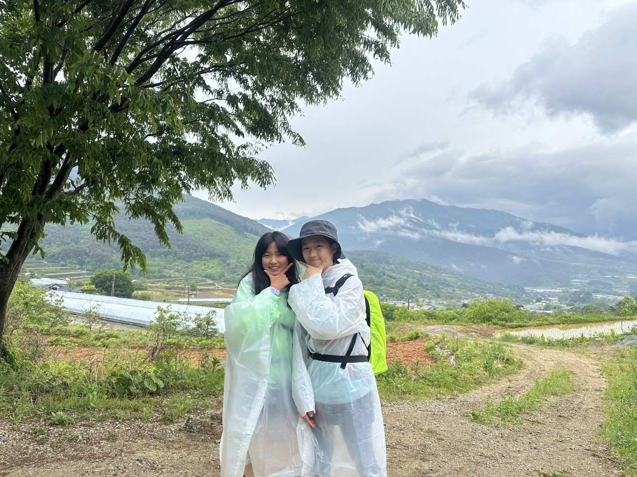 사용자가 올린 이미지
