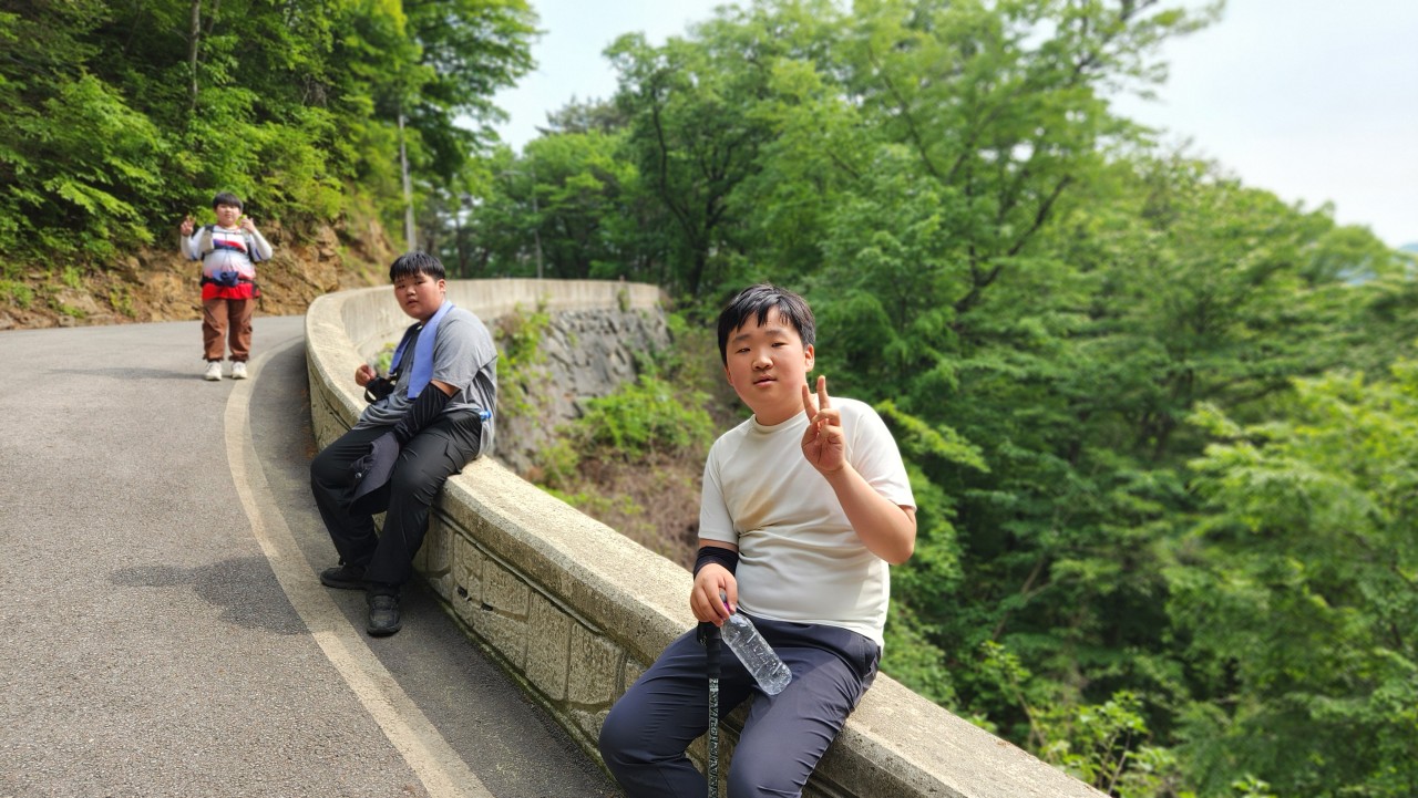 사용자가 올린 이미지