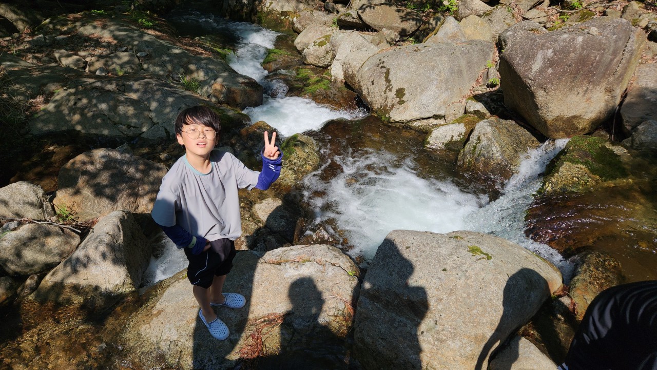 사용자가 올린 이미지