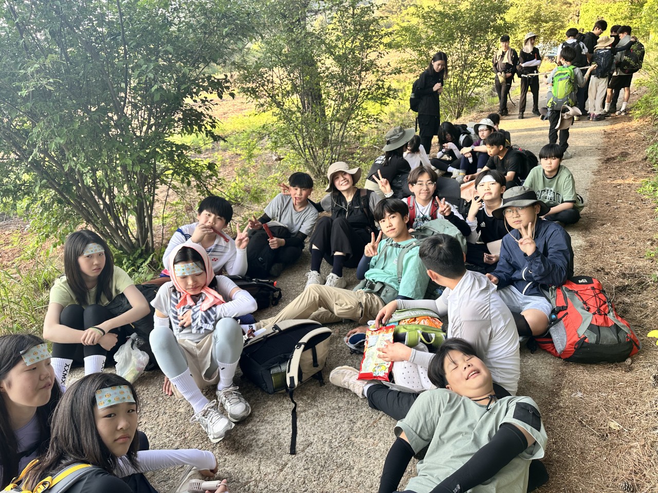 사용자가 올린 이미지