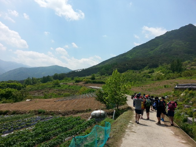 20150512_115556.jpg