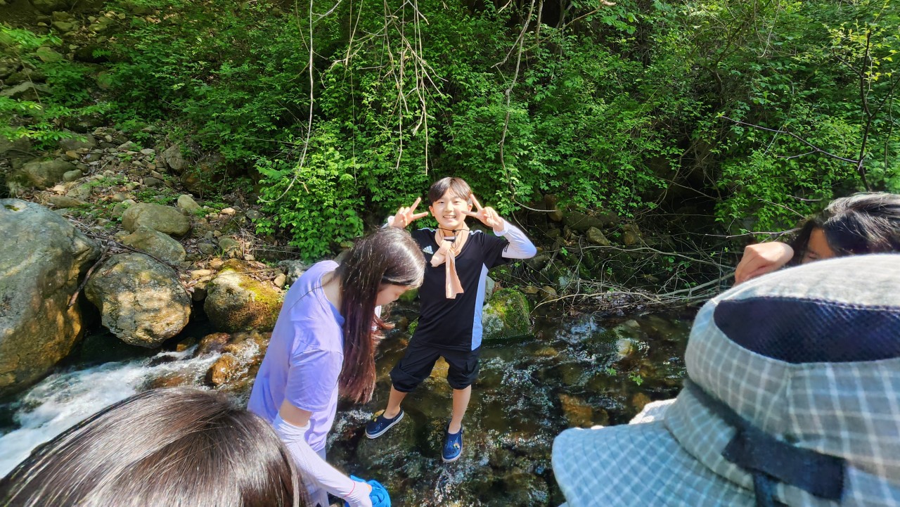 사용자가 올린 이미지